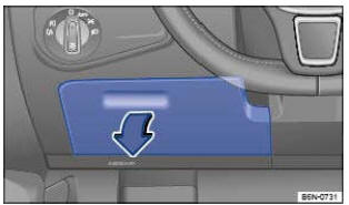 Fig. 124 Côté conducteur : rangement